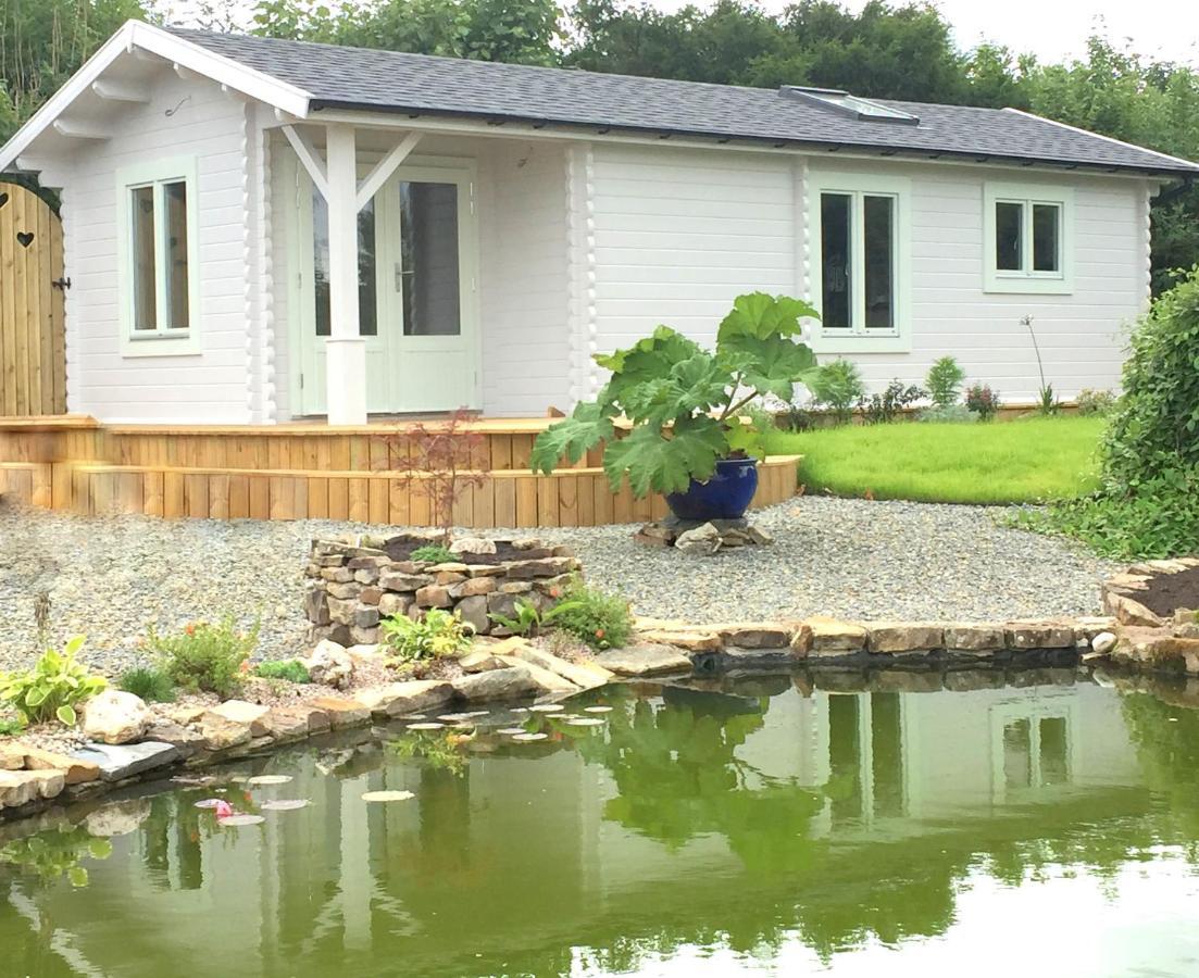Sunset Hideaway Villa Narberth Eksteriør bilde